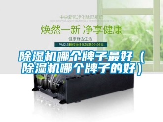 行業新聞除濕機哪個牌子最好（除濕機哪個牌子的好）