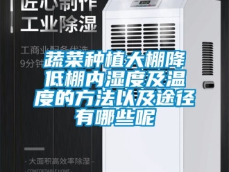 企業(yè)新聞蔬菜種植大棚降低棚內(nèi)濕度及溫度的方法以及途徑有哪些呢
