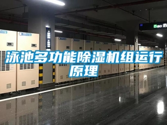行業(yè)新聞泳池多功能除濕機組運行原理