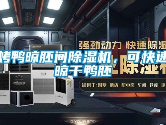 行業(yè)新聞烤鴨晾胚間除濕機，可快速晾干鴨胚