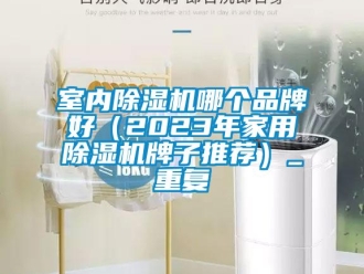 企業(yè)新聞室內除濕機哪個品牌好（2023年家用除濕機牌子推薦）_重復