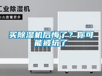 行業新聞買除濕機后悔了？你可能被坑了