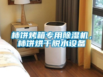 知識(shí)百科柿餅烤箱專用除濕機(jī)，柿餅烘干脫水設(shè)備