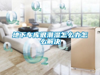 企業新聞地下車庫很潮濕怎么辦怎么解決