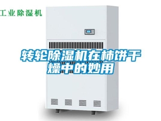 知識百科轉(zhuǎn)輪除濕機(jī)在柿餅干燥中的妙用