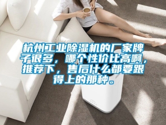 企業新聞杭州工業除濕機的廠家牌子很多，哪個性價比高啊，推薦下，售后什么都要跟得上的那種。