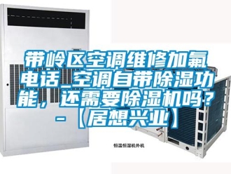 行業(yè)新聞帶嶺區(qū)空調(diào)維修加氟電話_空調(diào)自帶除濕功能，還需要除濕機(jī)嗎？-【居想興業(yè)】