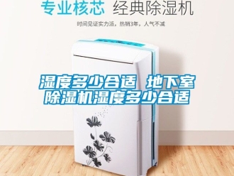 行業(yè)新聞濕度多少合適 地下室除濕機(jī)濕度多少合適