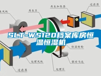 常見(jiàn)問(wèn)題SLT-WS120檔案庫(kù)房恒溫恒濕機(jī)
