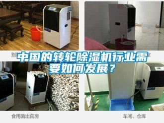 常見問題中國的轉輪除濕機行業需要如何發展？
