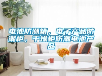 企業新聞電池防潮箱，電子產品防潮柜，干燥柜防潮電池產品