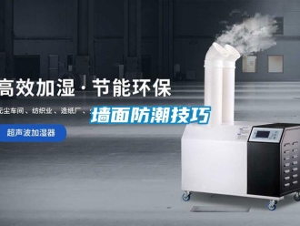 常見問題墻面防潮技巧