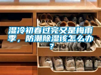 常見問題濕冷初春過完又是梅雨季，防潮除濕該怎么辦？