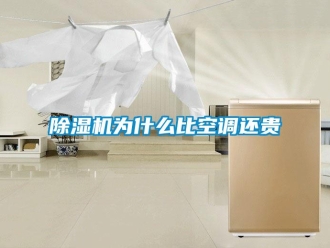 企業新聞除濕機為什么比空調還貴