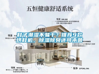 行業(yè)新聞鞋子潮濕不易干？推薦9款烘鞋機(jī)，除濕除臭還可殺菌