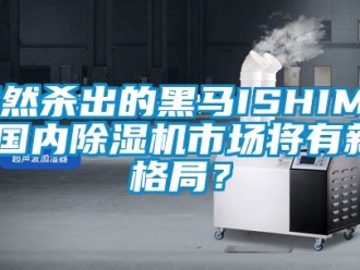 行業新聞突然殺出的黑馬ISHIMA,國內除濕機市場將有新格局？