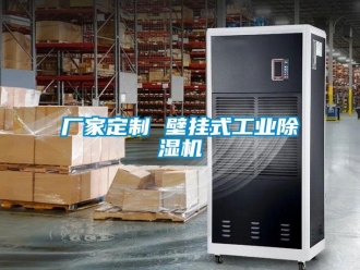 企業新聞廠家定制 壁掛式工業除濕機