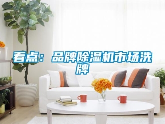 行業新聞看點：品牌除濕機市場洗牌