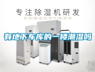企業新聞有地下車庫的一樓潮濕嗎