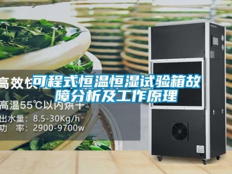 知識百科可程式恒溫恒濕試驗(yàn)箱故障分析及工作原理