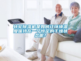 常見問題轉輪除濕機是如何讓環境溫度保持在一個恒定的干燥狀態呢？