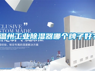 行業新聞溫州工業除濕器哪個牌子好？