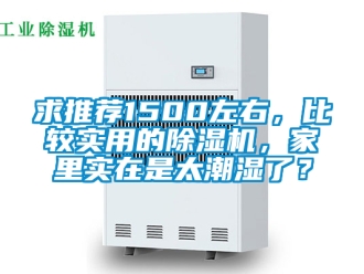 行業(yè)新聞求推薦1500左右，比較實用的除濕機，家里實在是太潮濕了？