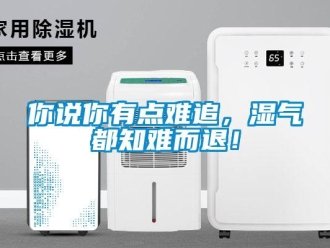 行業(yè)新聞你說(shuō)你有點(diǎn)難追，濕氣都知難而退！