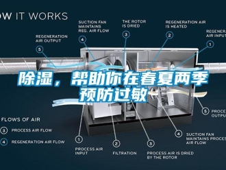 常見問題除濕，幫助你在春夏兩季預防過敏