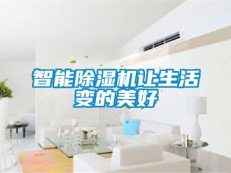 行業(yè)新聞智能除濕機(jī)讓生活變的美好