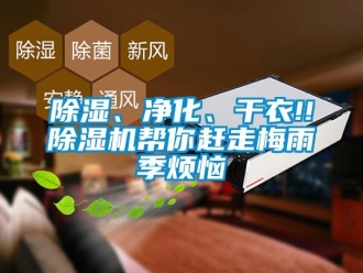 常見(jiàn)問(wèn)題除濕、凈化、干衣!!除濕機(jī)幫你趕走梅雨季煩惱