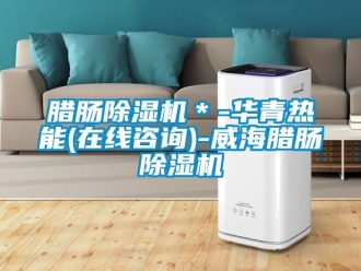 行業(yè)新聞臘腸除濕機(jī)＊-華青熱能(在線(xiàn)咨詢(xún))-威海臘腸除濕機(jī)