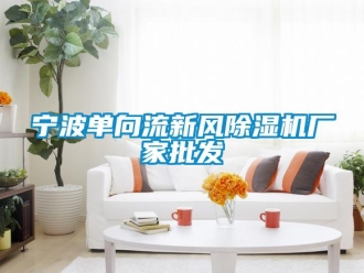 企業新聞寧波單向流新風除濕機廠家批發