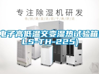 常見問題電子高低溫交變濕熱試驗箱(LS-TH-225)