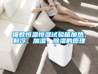 知識百科細數恒溫恒濕試驗箱加熱、制冷、加濕、除濕的原理