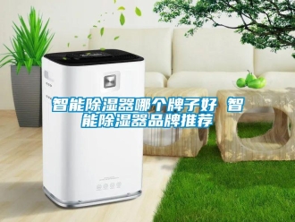 行業(yè)新聞智能除濕器哪個(gè)牌子好 智能除濕器品牌推薦