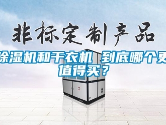 常見問題除濕機和干衣機 到底哪個更值得買？