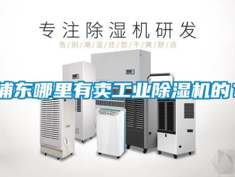 常見問題浦東哪里有賣工業除濕機的？