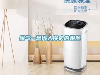 知識百科濕氣--現代人得病的根源