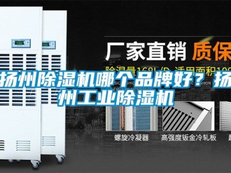 常見問題揚州除濕機哪個品牌好？揚州工業除濕機