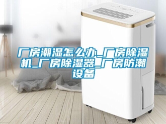企業新聞廠房潮濕怎么辦_廠房除濕機_廠房除濕器_廠房防潮設備