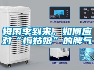 常見問題梅雨季到來，如何應對“梅姑娘”的脾氣