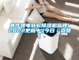 常見問題焦作鋰電轉輪除濕機品牌(2022更新中)(今日／點贊)
