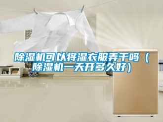 行業(yè)新聞除濕機可以將濕衣服弄干嗎（除濕機一天開多久好）