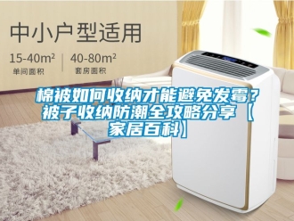 常見問題棉被如何收納才能避免發霉？被子收納防潮全攻略分享【家居百科】