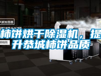 行業(yè)新聞柿餅烘干除濕機，提升恭城柿餅品質(zhì)