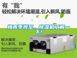 行業新聞梅雨季將至，除濕機了解一下！