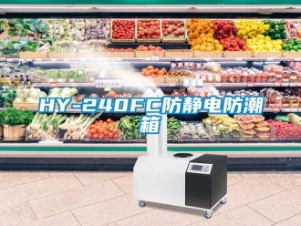 企業(yè)新聞HY-240FC防靜電防潮箱