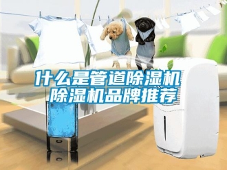 企業新聞什么是管道除濕機 除濕機品牌推薦