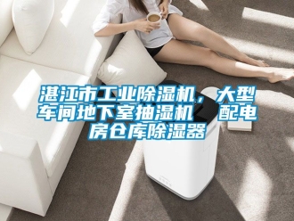 常見問題湛江市工業除濕機，大型車間地下室抽濕機  配電房倉庫除濕器